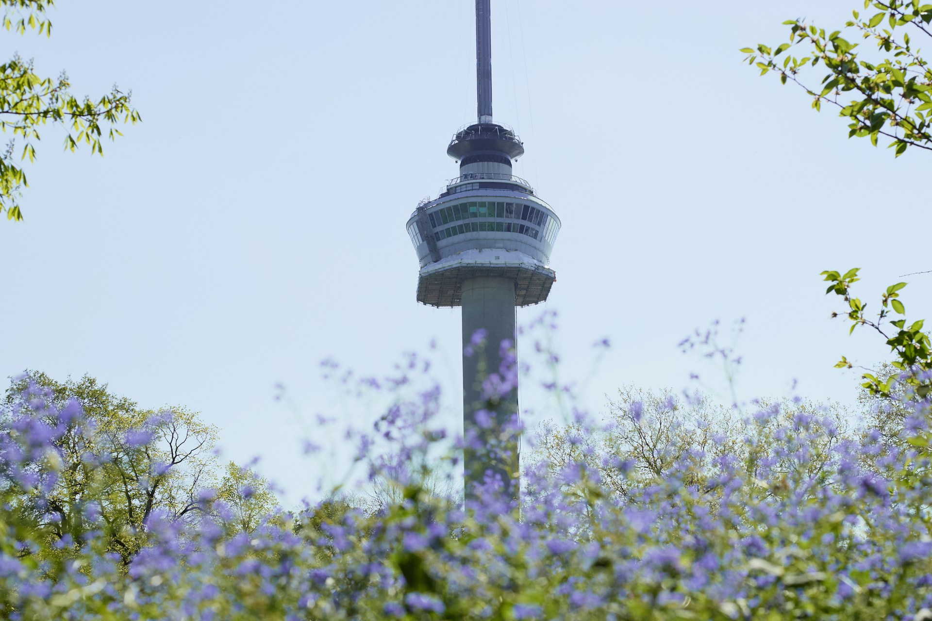 De Euromast in Rotterdam, gefotografeerd vanuit het park, waar BOKO Dakbedekkers in 2024 de dakbedekking van de platformen vernieuwde.